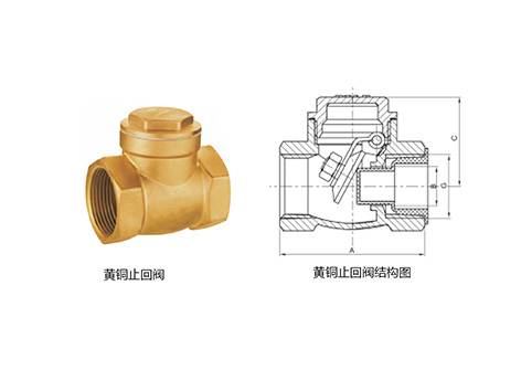 甄易黄铜止回阀