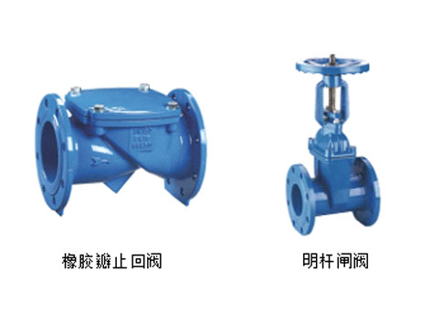 橡胶瓣止回阀和明杆闸阀